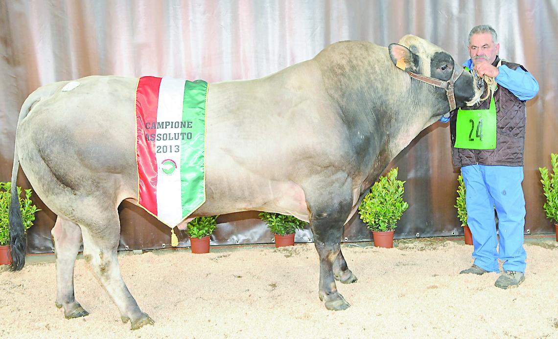 Storico malgaro e produttore di formaggi d'alpeggio: addio a Luciano Viale
