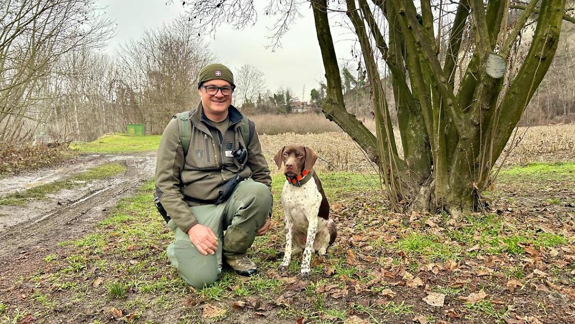 Bocconi avvelenati: la guerra silenziosa che uccide ogni anno centinaia di animali
