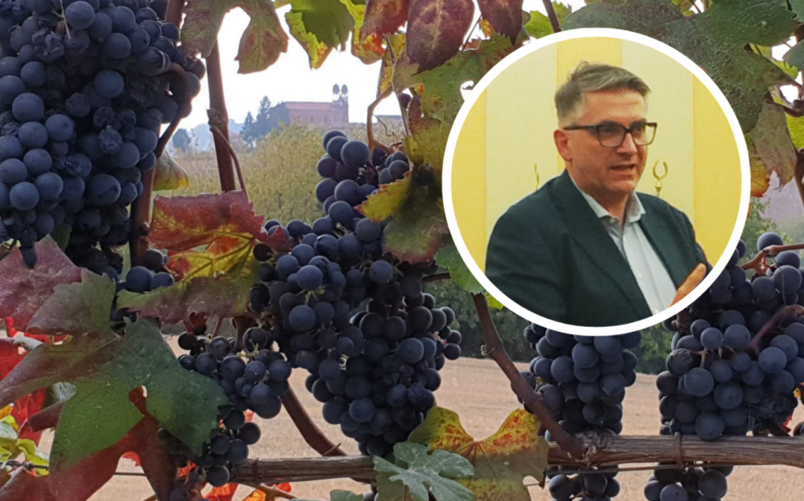 Alte temperature in vigna: nascono i "cloni" di Dolcetto e Barbera, per resistere alla siccit&agrave;