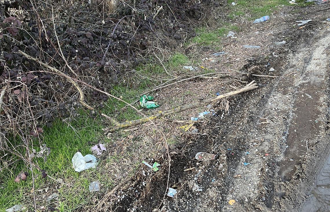 Rifiuti abbandonati, ancora una volta uno spettacolo di incivilt&agrave;