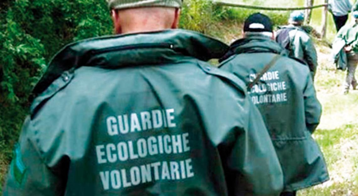 Vuoi diventare Guardia Ecologica Volontaria? Ecco come fare