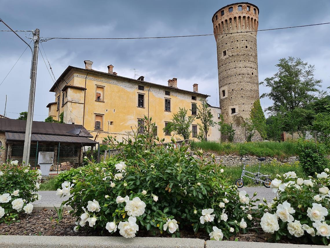 &ldquo;Ti regaler&ograve; una rosa&rdquo;: un'adozione simbolica per diffondere bellezza e cura nel paese