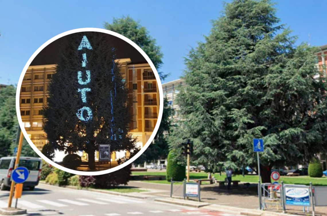 Abbattimento di 10 grandi cedri, sale la protesta: &laquo;Incateniamoci agli alberi&raquo;