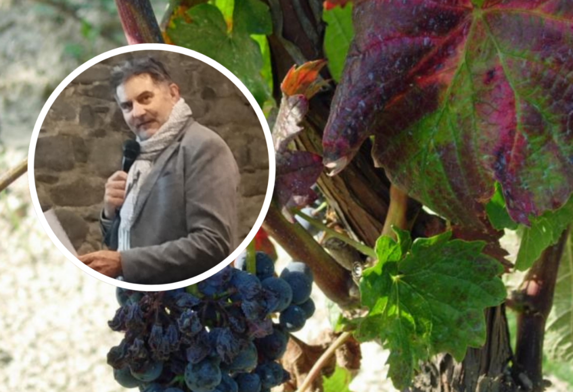 Malattie che uccidono i vigneti: &laquo;La Flavescenza dorata non sparir&agrave;. Fate attenzione ai venditori di fumo&raquo;