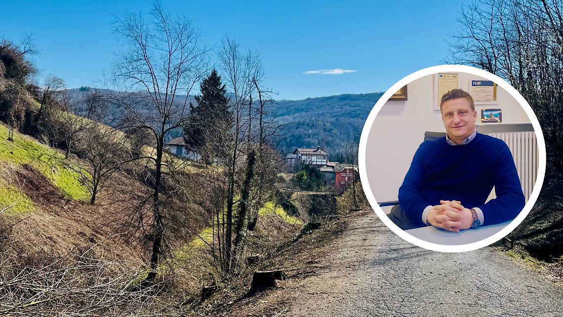 Manutenzione del verde e sicurezza: interventi su piante pericolose