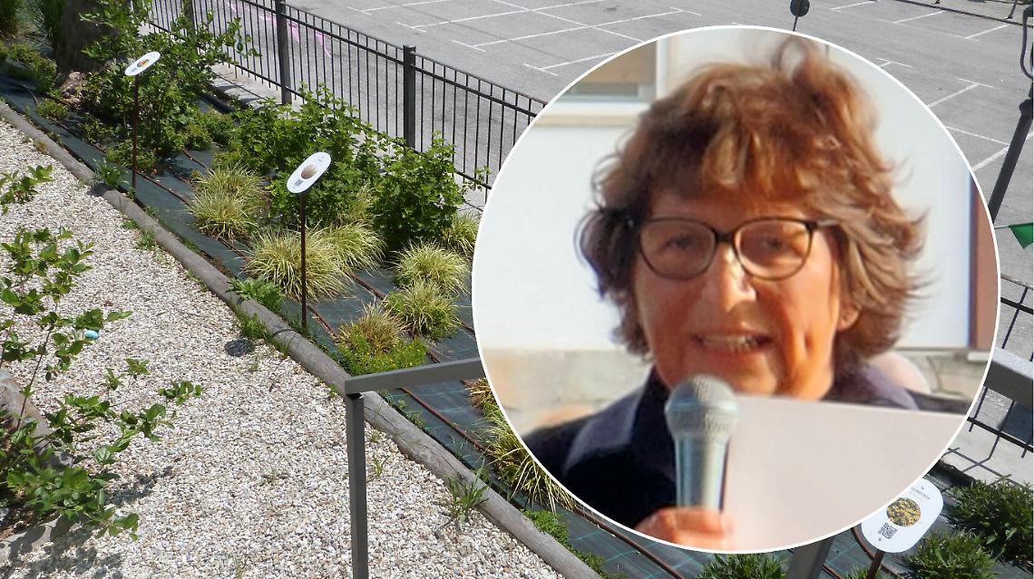 Una talea dell&rsquo;albero di Giovanni Falcone trover&agrave; dimora nell'Aiuola botanica, nel segno della legalit&agrave;