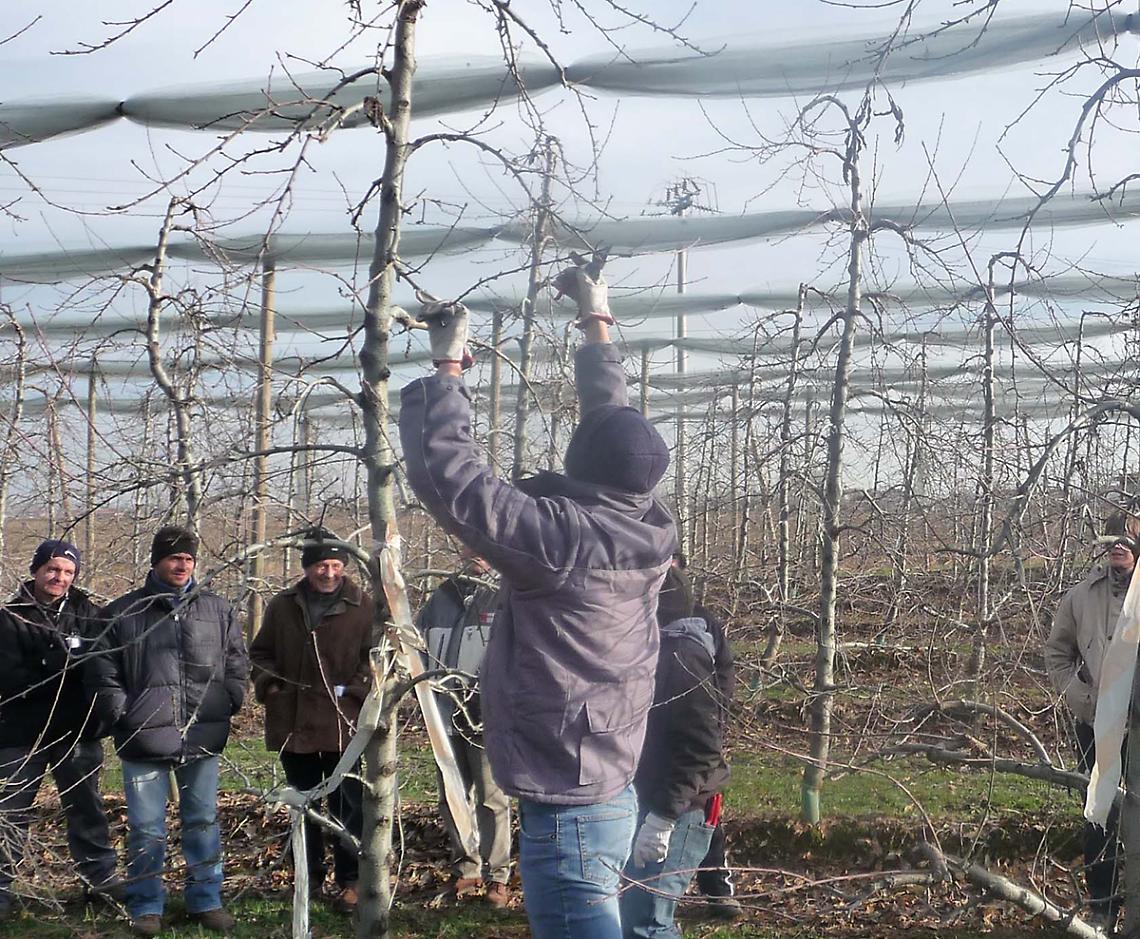 Nella &ldquo;terra dei frutteti&rdquo; per imparare a potare