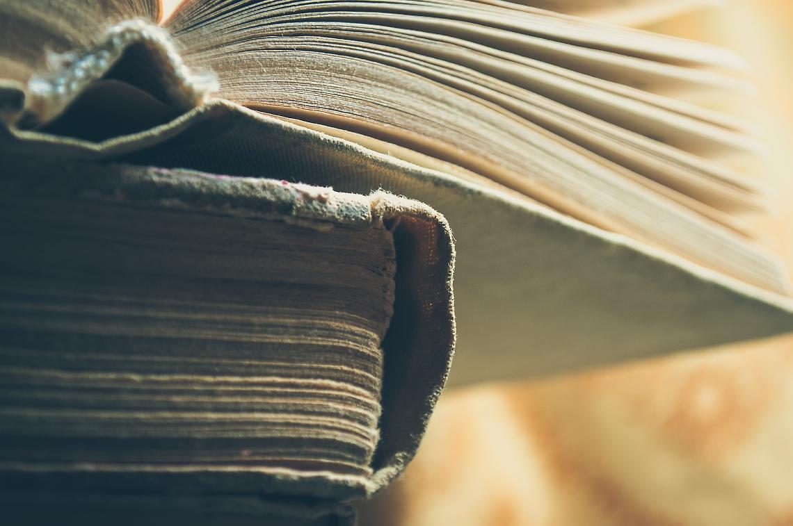 Un viaggio, molti libri, un&rsquo;idea di libert&agrave;: un incontro con Lele Viola