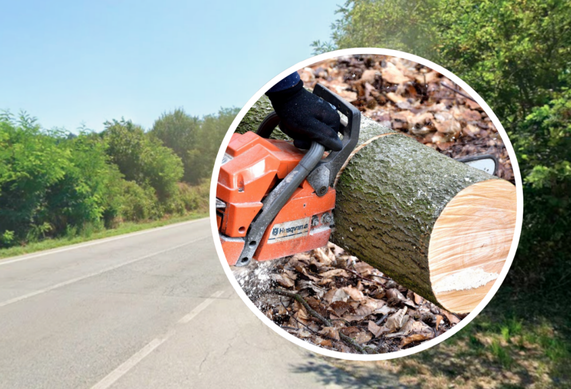 Taglio alberi sulla Fondovalle: semafori e rallentamenti per tutta la prossima settimana