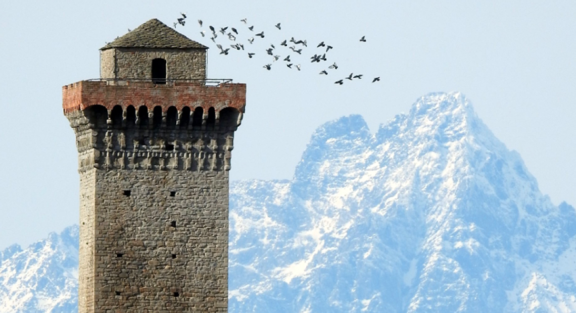 Salire sulla torre medievale in autonomia? Un sogno che pu&ograve; diventare realt&agrave;