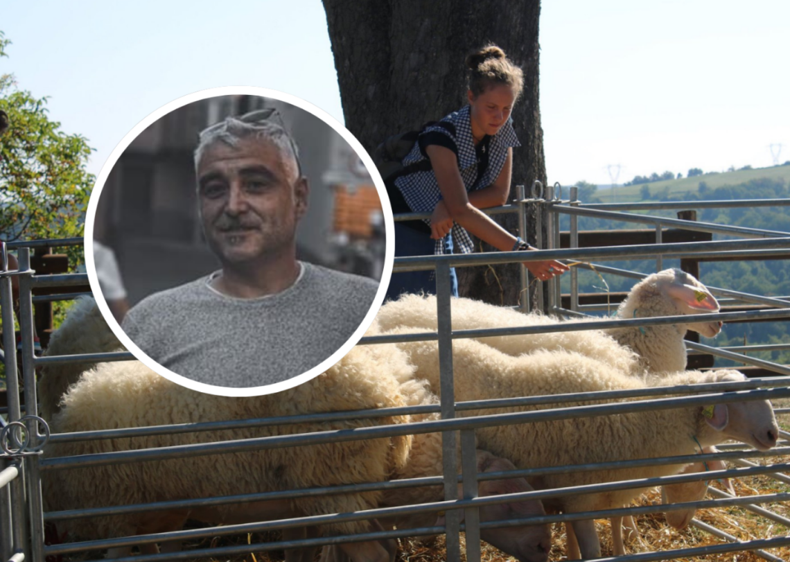 Fiera dei Trenta: si lavora per riportare l'esposizione delle pecore in piazza