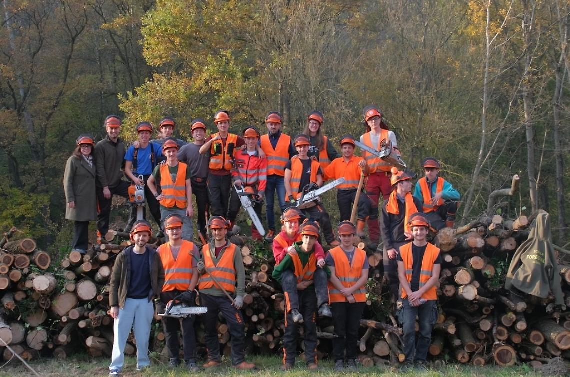Una nuova missione per i ragazzi della Forestale: &ldquo;Rigenerare bellezza&rdquo;