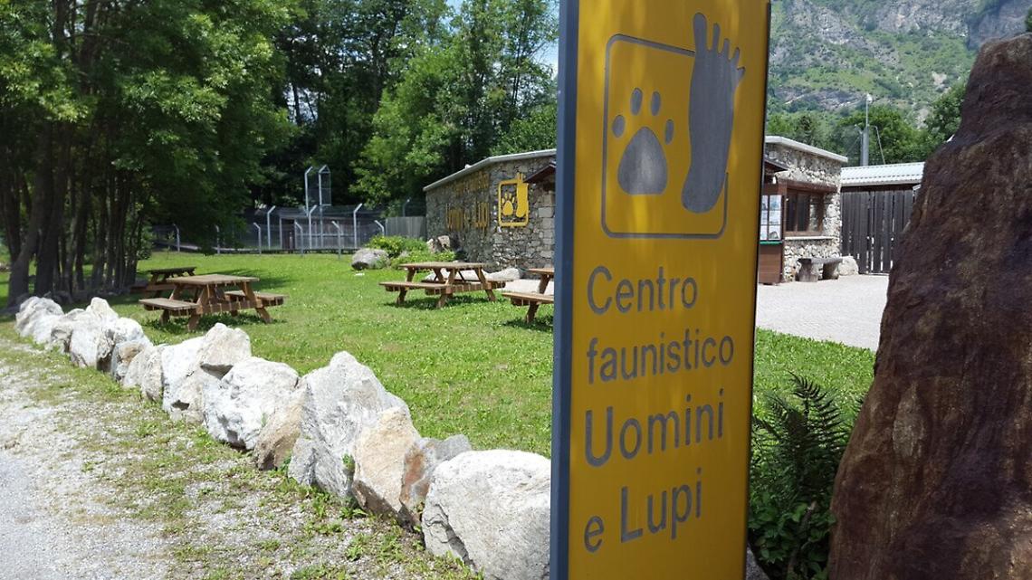 Cerchi lavoro per l&rsquo;estate? Ecco 14 opportunit&agrave; nel Parco delle Alpi Marittime