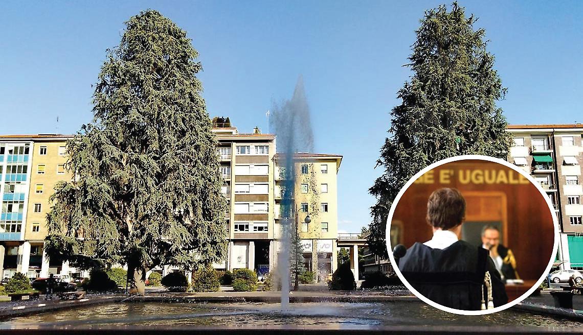 La battaglia dei cedri continua: per ora restano in piedi