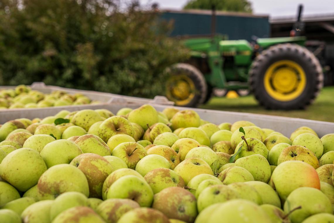 Lavoratori agricoli stagionali: recuperare fabbricati, per ospitarli dignitosamente