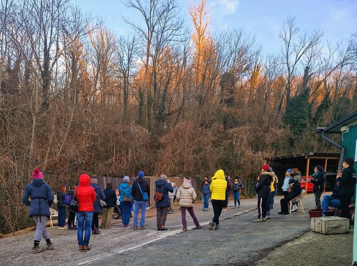 Una cena vegana per aiutare i cani: il Rifugio 281 festeggia 6 anni con una serata solidale