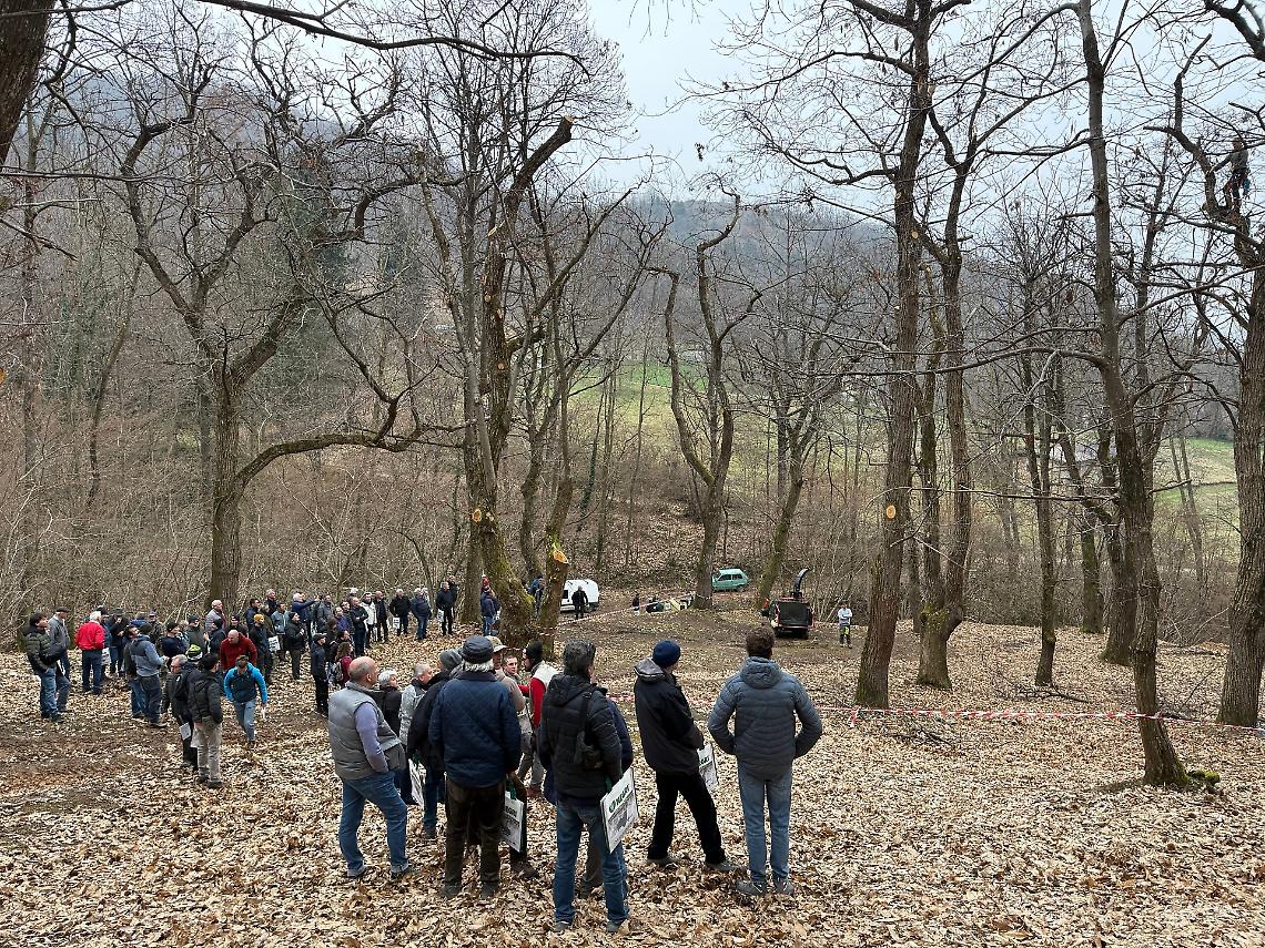 Castagneto del futuro, la sfida &egrave; gi&agrave; iniziata