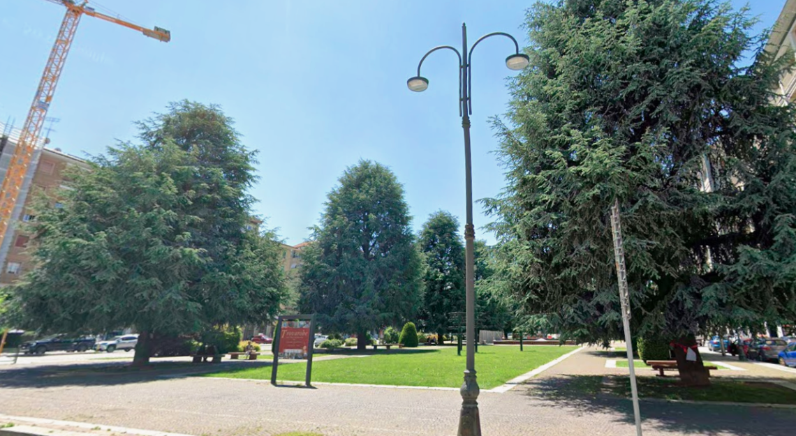 I cedri (per ora) sono salvi: oggi pomeriggio grande festa sotto gli alberi