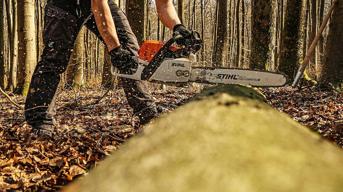 Il futuro nasce nei boschi: a Cuneo il grande confronto sulla transizione verde
