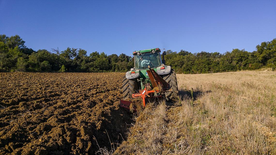 Agricoltori in crisi: &laquo;Chiudere l'azienda o sopravvivere in un sistema che non funziona pi&ugrave;&raquo;