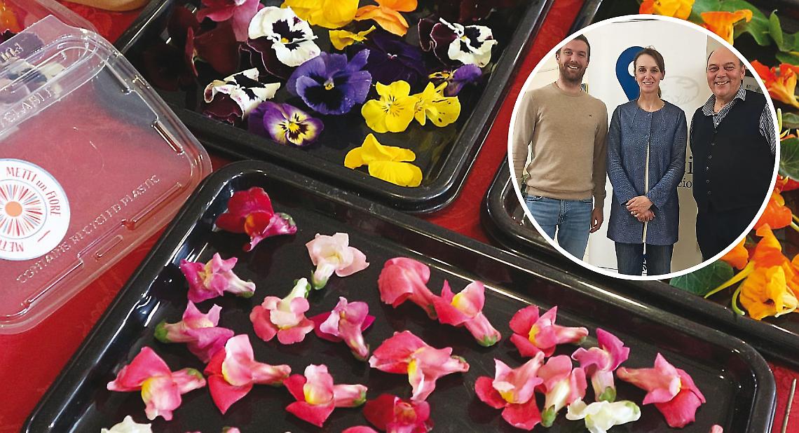 Petali e corolle in cucina: l&rsquo;uso dei fiori in gastronomia