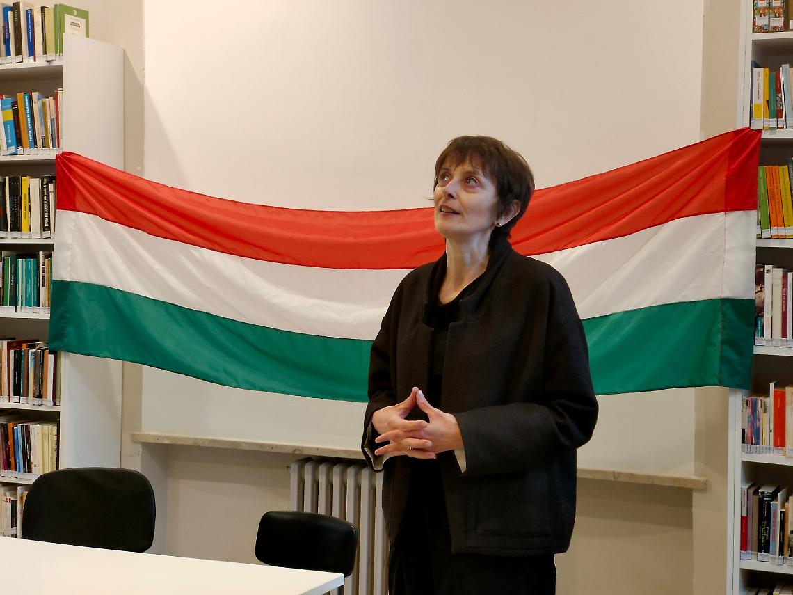 In ricordo di Ezio Alberione: un mondo di cinema e cultura torna a rivivere nei 700 libri donati alla biblioteca