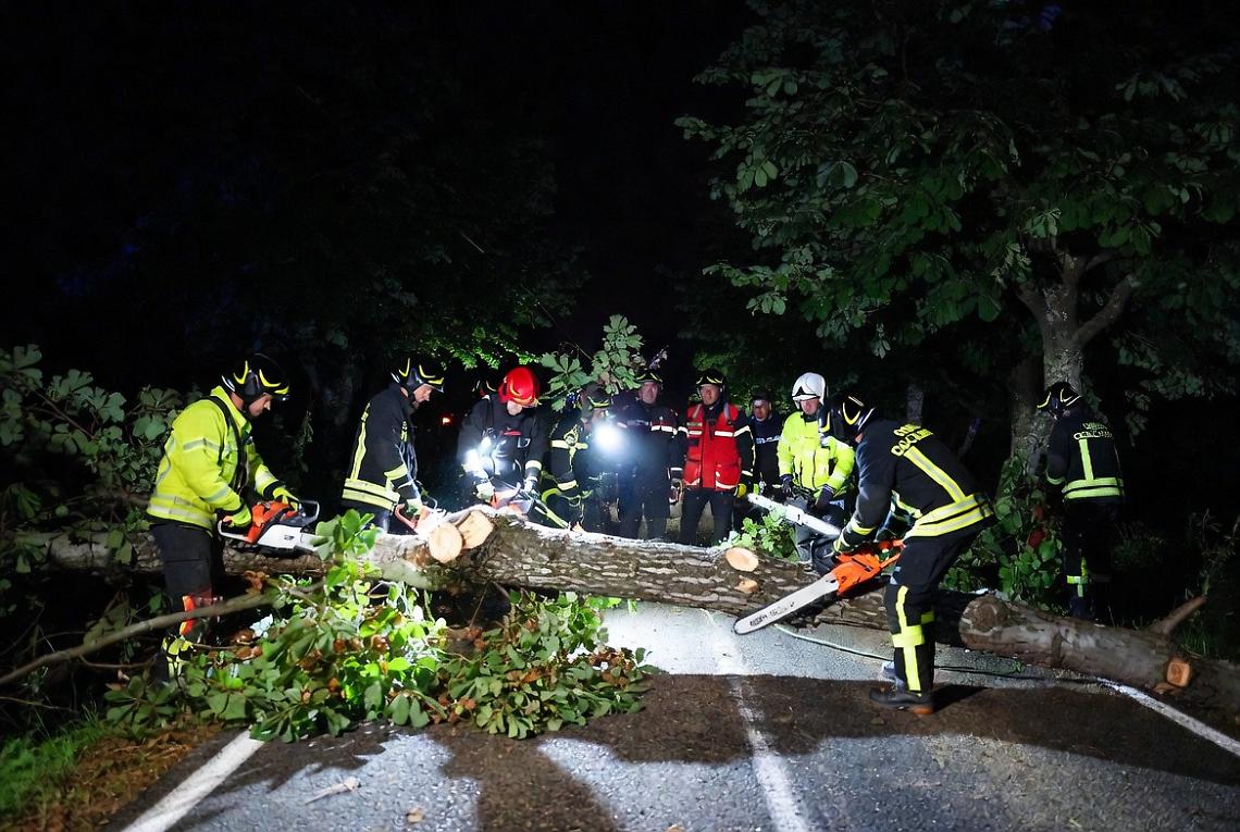 Pioggia a vento: alberi caduti in strada nella notte, alla Giacobba