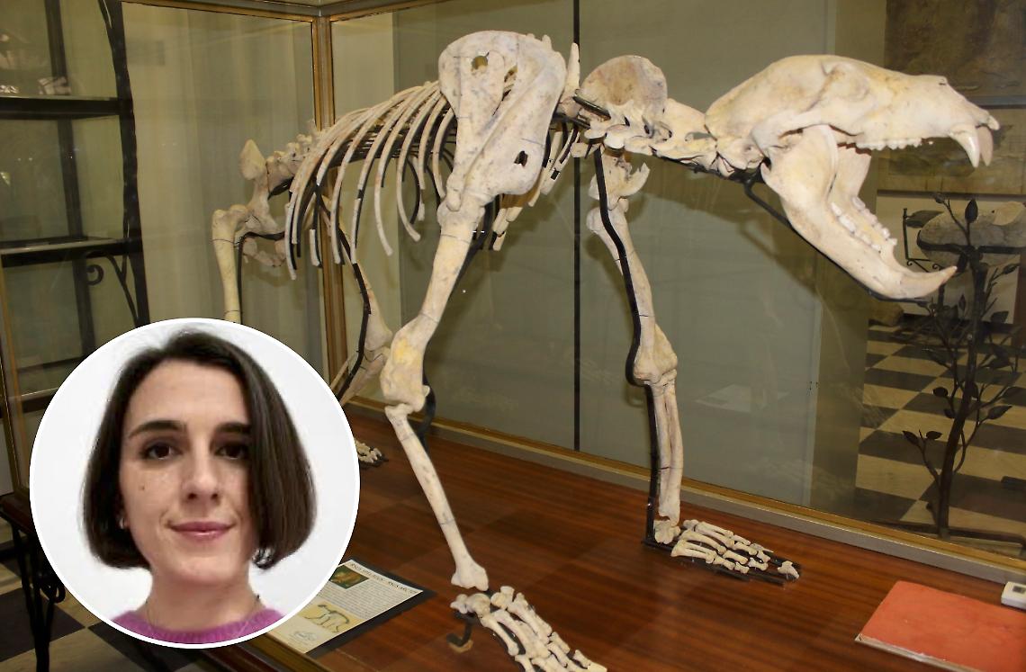 E&rsquo; una giovane archeologa il nuovo Conservatore del Museo civico