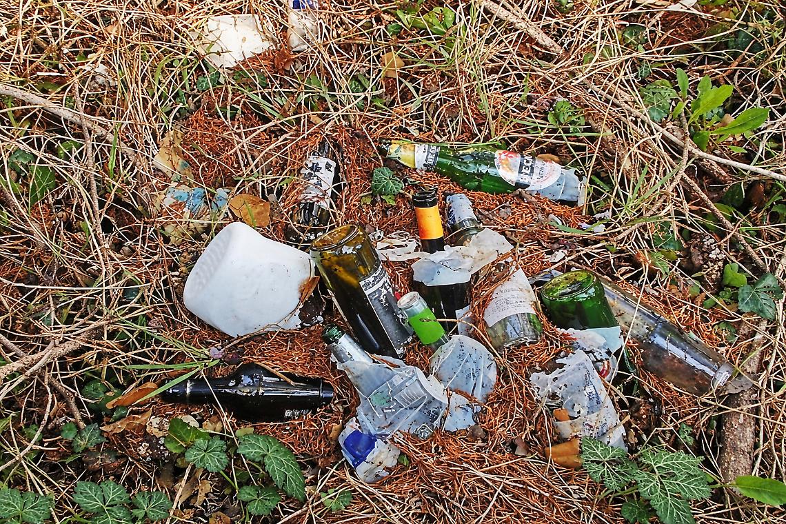 Rifiuti abbandonati: con le nuove norme scattano reati e pene salatissime