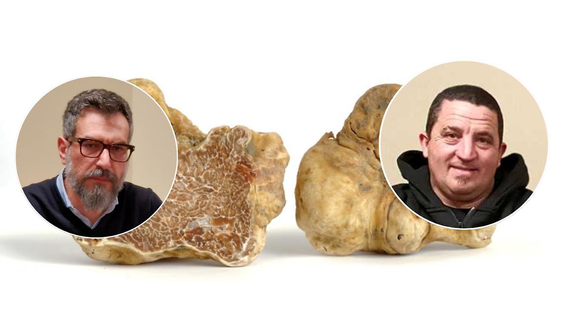 Dal convegno al bosco: la Pro loco propone un viaggio completo alla scoperta del tartufo