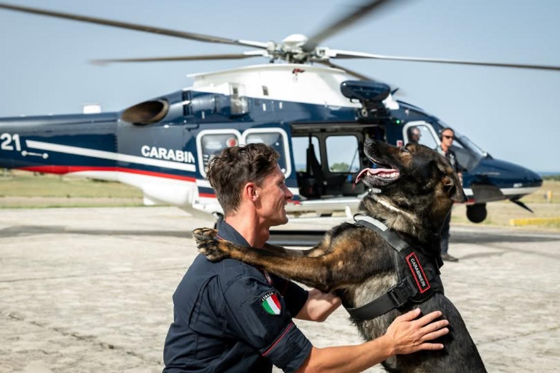 Il cane "Berla" fiuta e scova la droga: arrestate tre persone