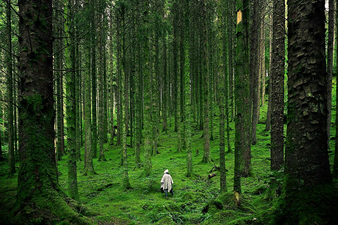 Giornate per le foreste, l'acqua e i ghiacciai: cosa resta il giorno dopo? Uncem: &laquo;Serve la politica&raquo;