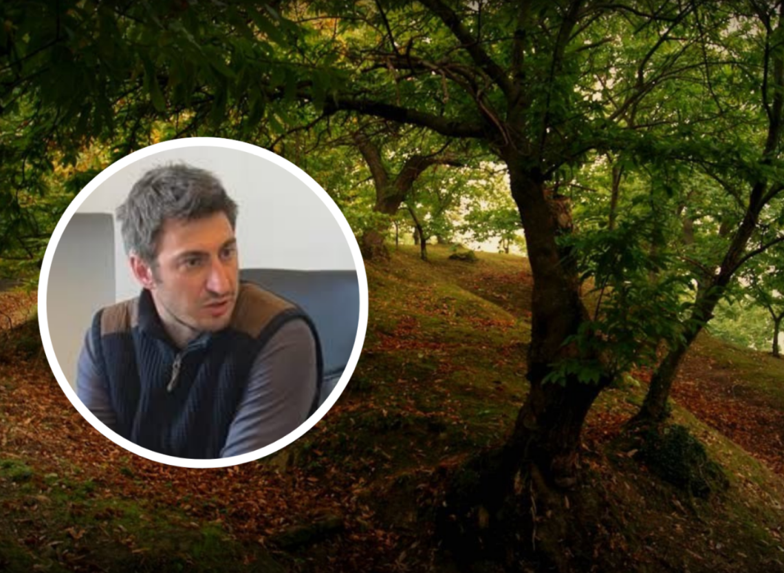 &laquo;Bisogna recuperare i castagneti abbandonati: la Regione aiuti le aziende&raquo;