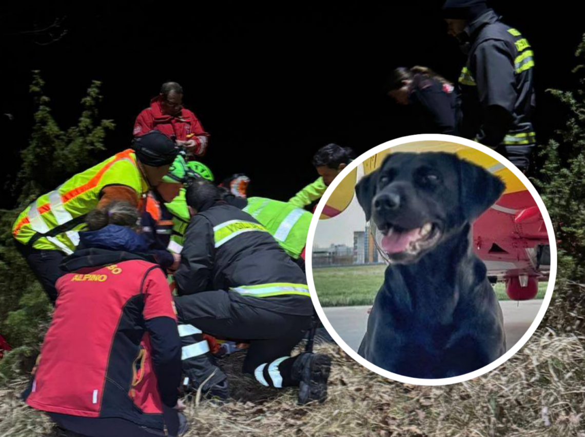 Si perde in montagna: ritrovato grazie al fiuto formidabile del cane "Ferro"