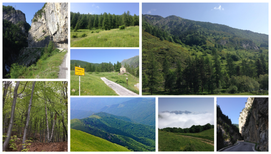 Valle Tanaro modello d&rsquo;Europa: dalle foreste nasce una nuova economia verde