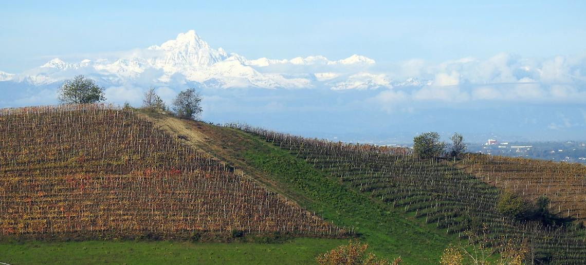 Tecnologia e nuovi sistemi di irrigazione per salvare i vigneti dal cambiamento climatico