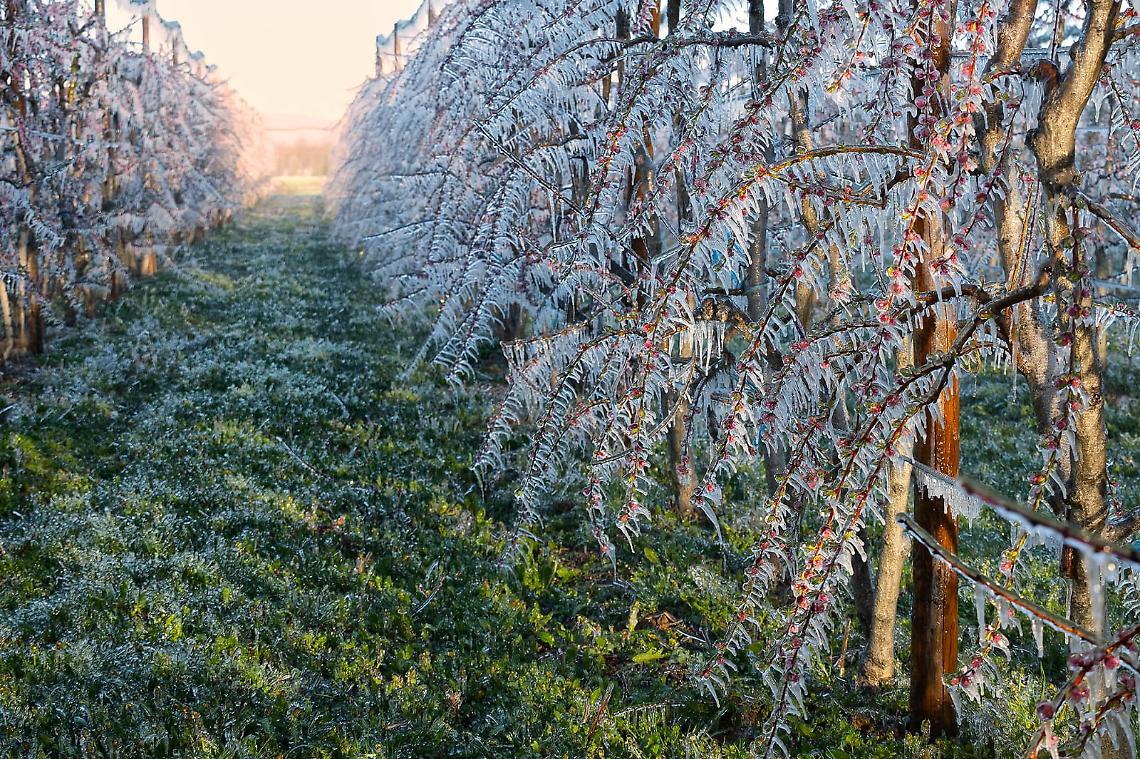 Dopo il caldo di oggi, torna il gelo di notte: temperature minime fino a -5 gradi
