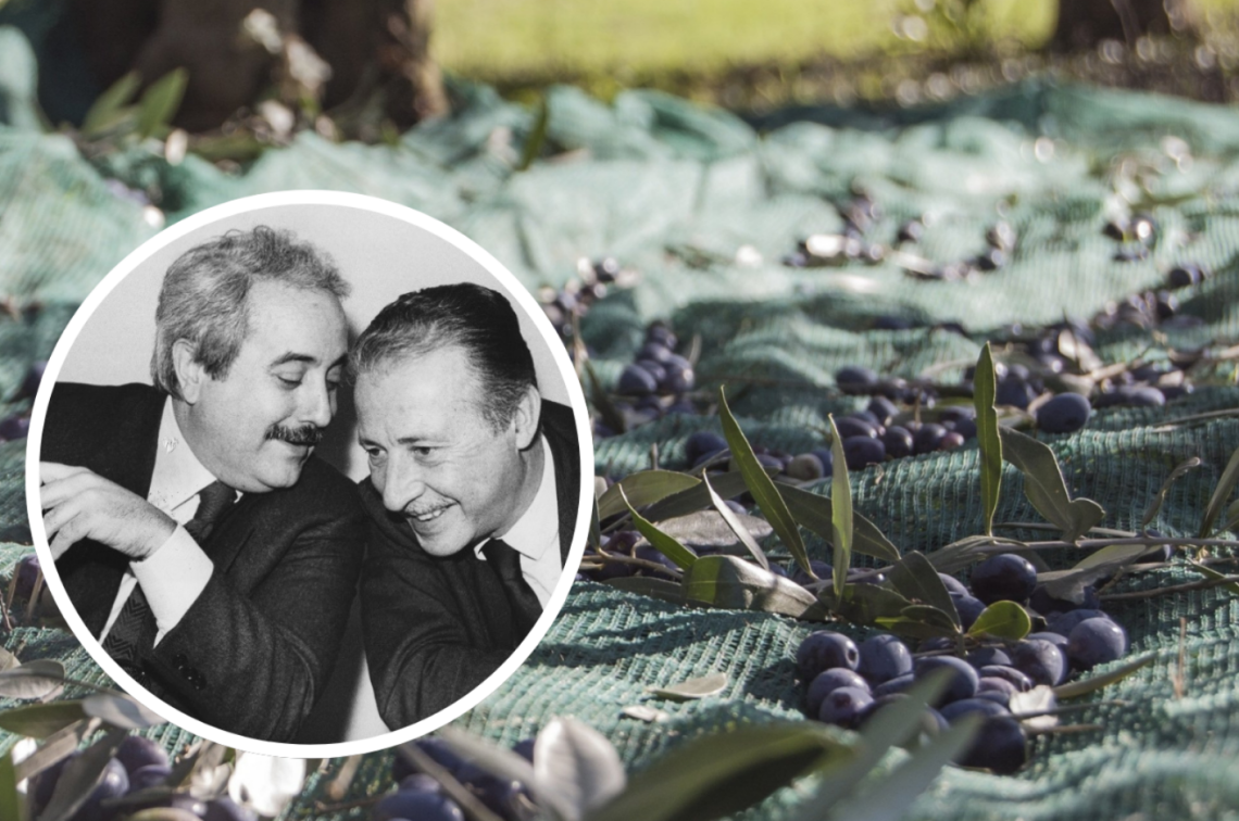 Dagli ulivi che ricordano Falcone e Borsellino, l'olio di Capaci arriva a Mondov&igrave;