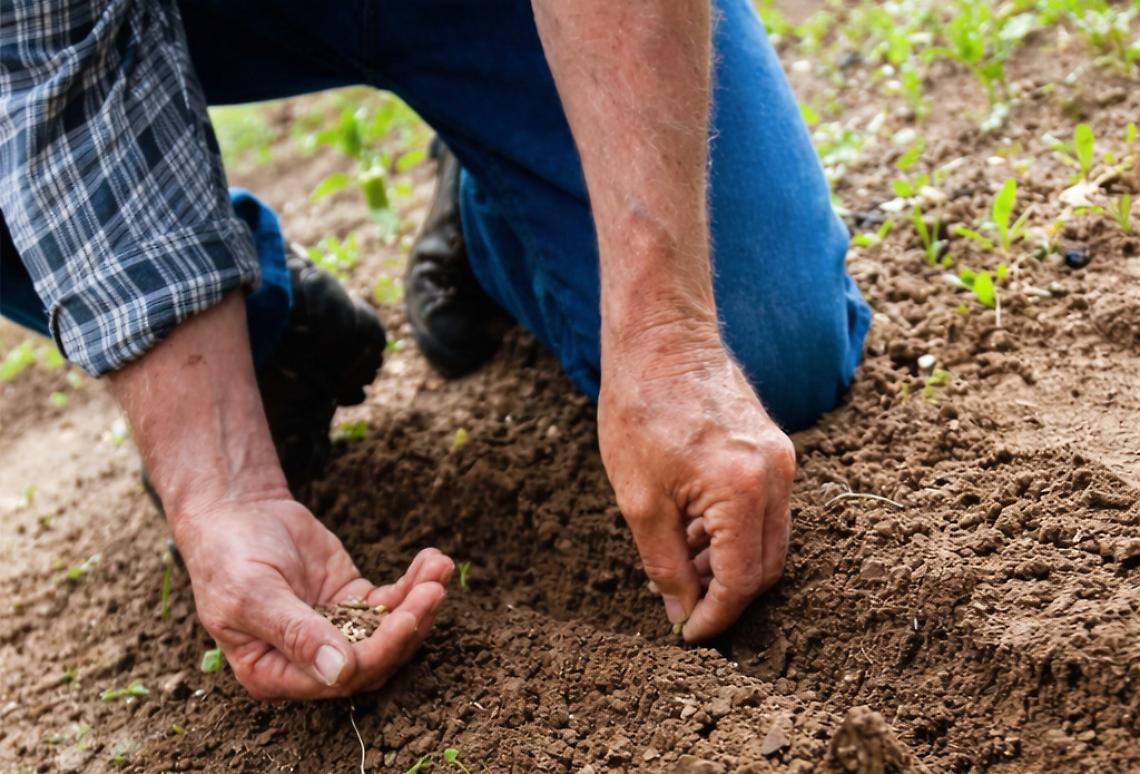 Il verde si risveglia: lavori, semine e attenzioni speciali per questo inizio di primavera