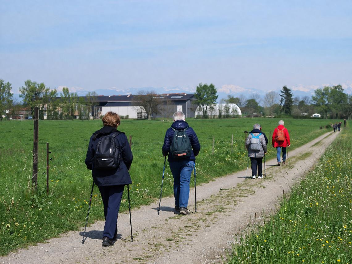 Camminare per stare bene: tre serate sulla salute e i benefici del movimento
