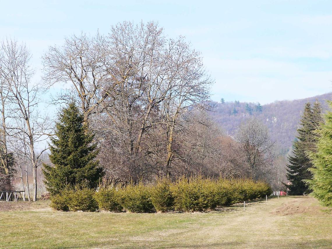 Castanicoltura e innovazione: un incontro sulla salute del suolo