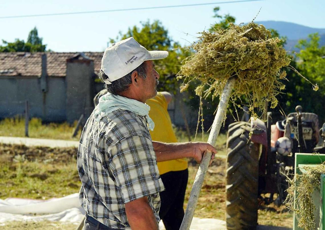 &ldquo;La riduzione della pressione contributiva d&agrave; respiro alle aziende agricole&rdquo;