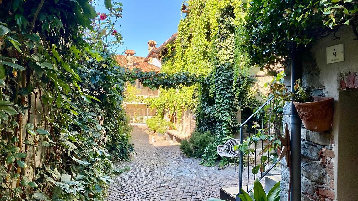 Passeggiando tra le erbe: un pomeriggio tra natura e scoperta