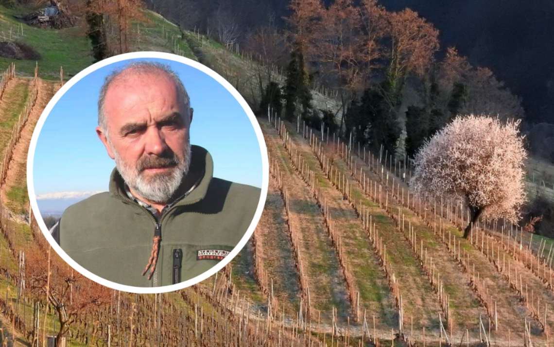 &laquo;Diserbare con il glifosate &egrave; rischioso per la salute, va vietato nelle vigne delle Langhe&raquo;