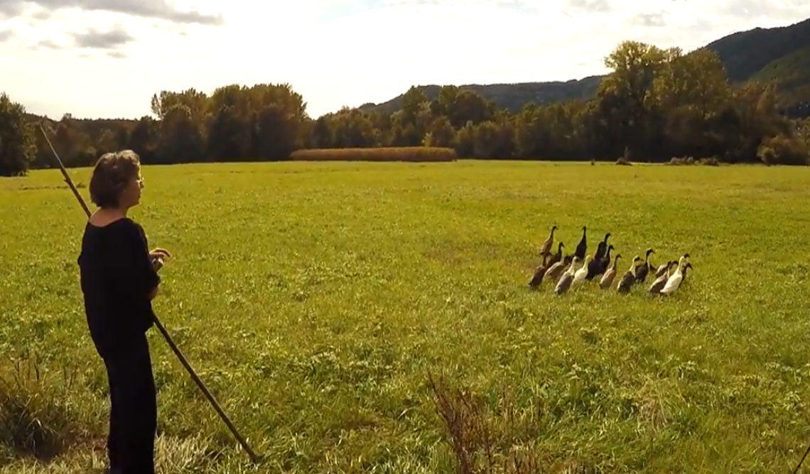 "Con i piedi per terra": storie di chi resiste tra i campi, coltivando con rispetto