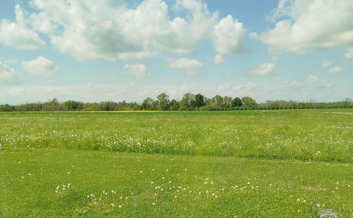Una primavera che profuma d'estate: massime fino a 25 gradi in Piemonte