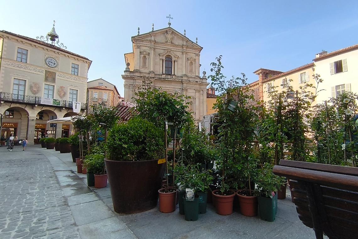 Spuntano i fiori nel centro storico