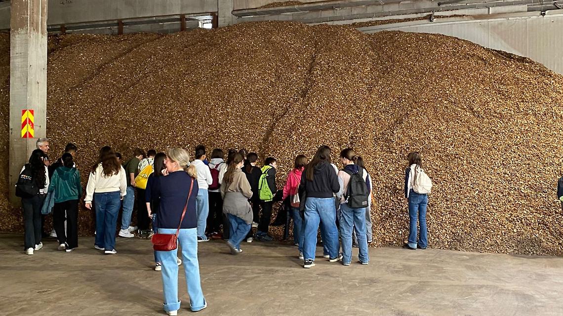 Gli scarti di legno diventano energia: il caso virtuoso di Vernante, contro la crisi energetica