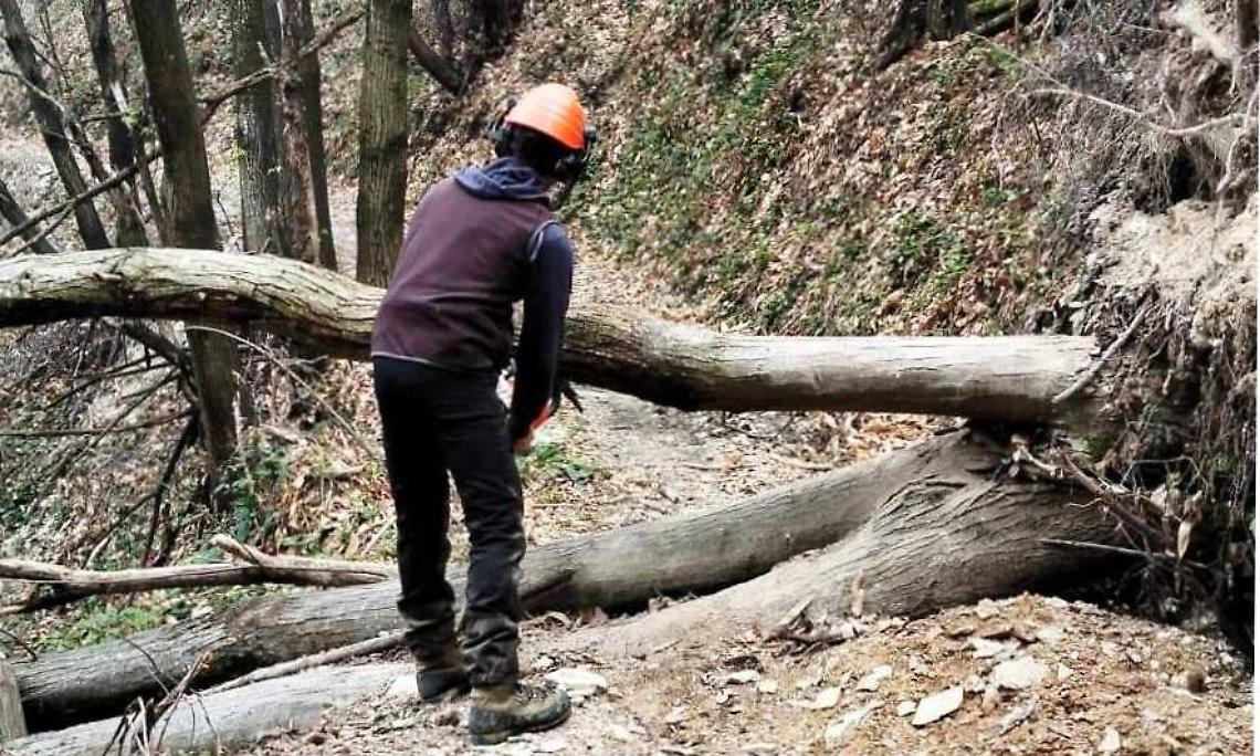 L'Aib al lavoro su piste forestali e sentieri: manutenzione in vista della Camminata della Liberazione