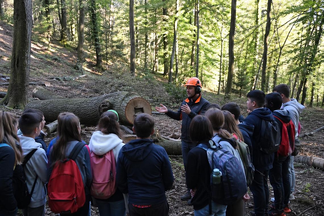 Il Piemonte porta gli studenti nel bosco: qui la natura diventa maestra